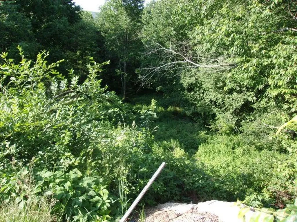 421 Bradley Hill Road Benton NH 03785