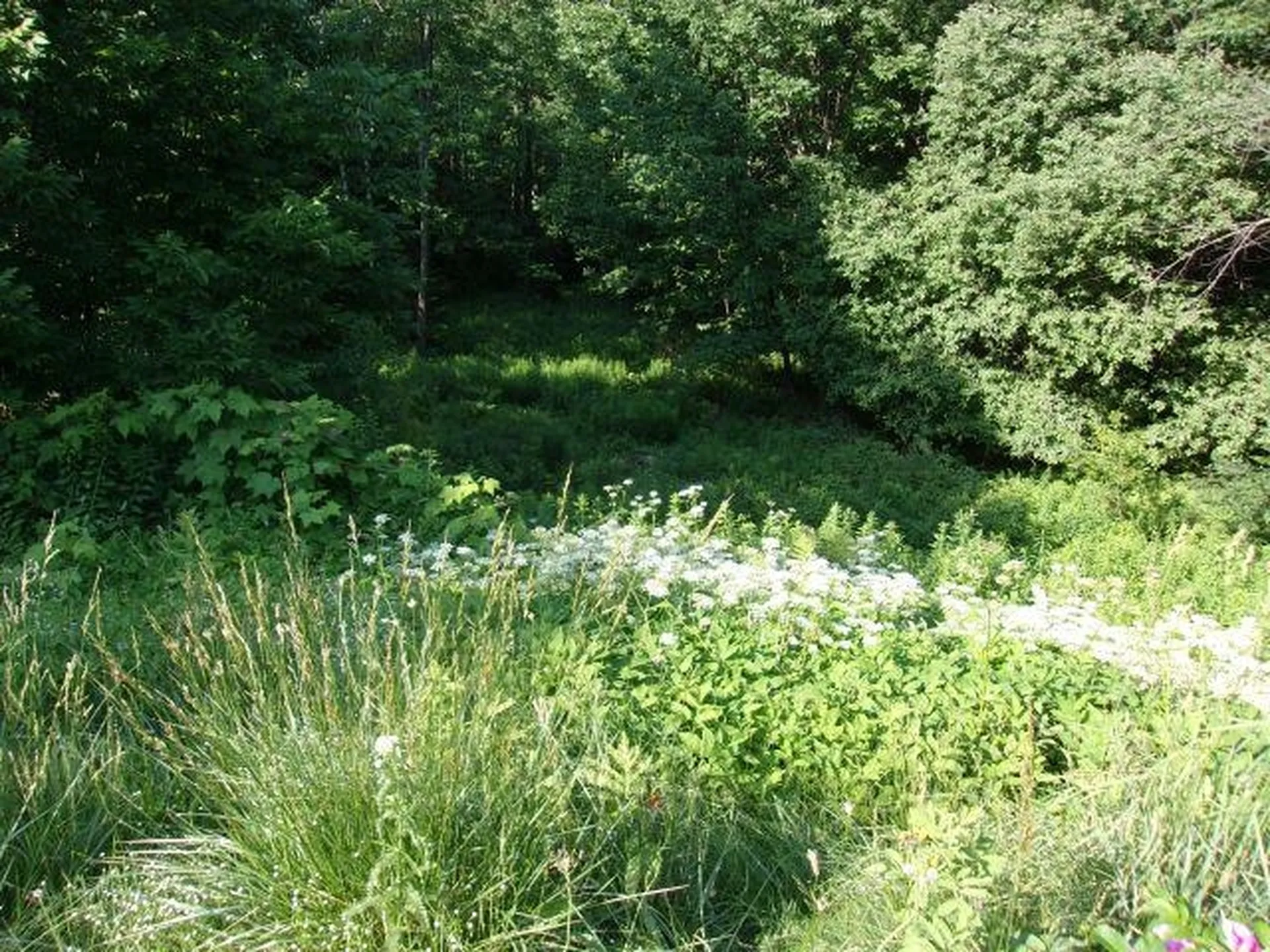 421 Bradley Hill Road Benton NH 03785