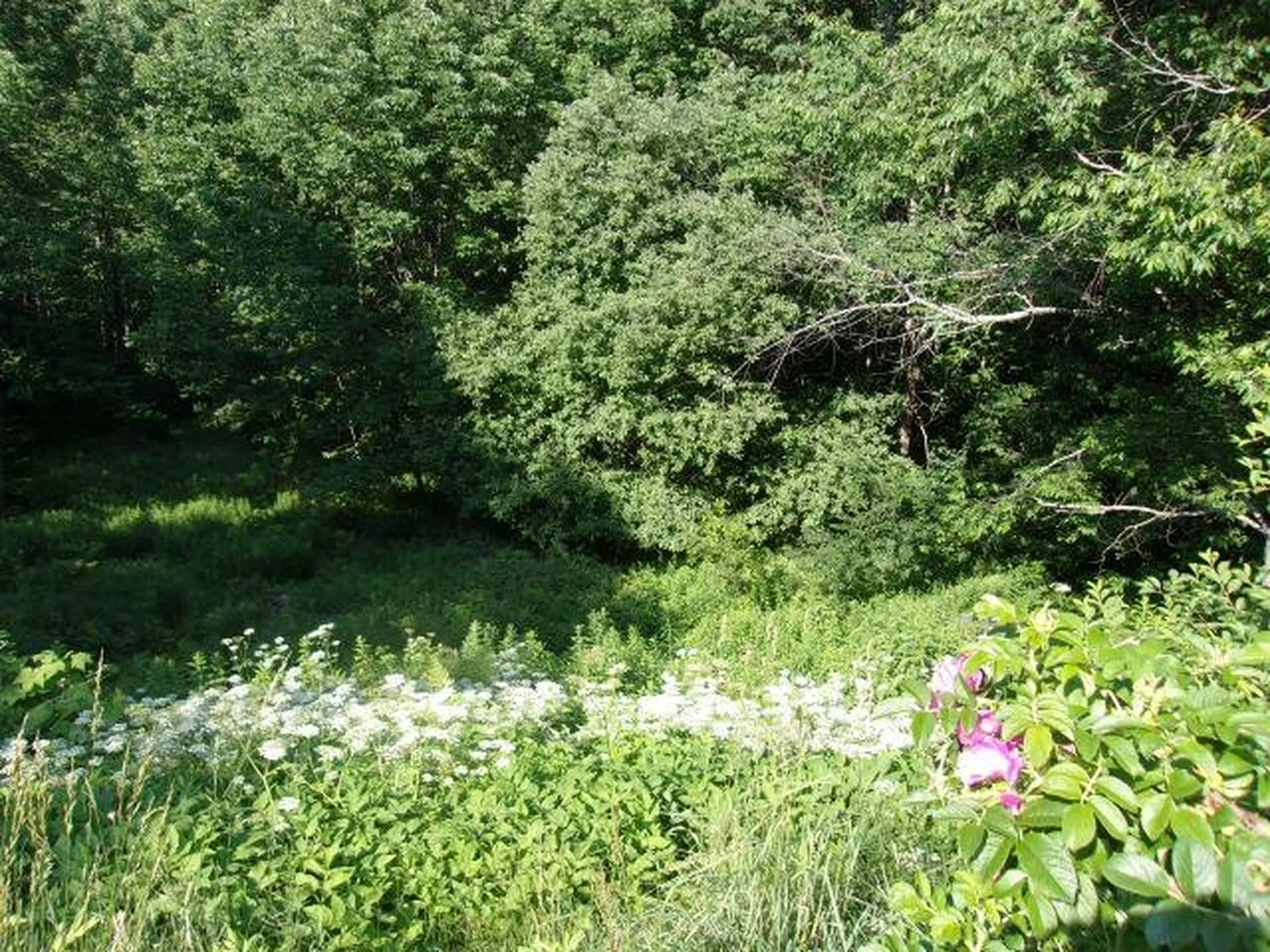 421 Bradley Hill Road Benton NH 03785