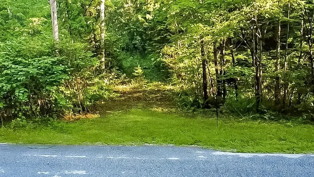 91 Dam Road Chittenden VT 05701