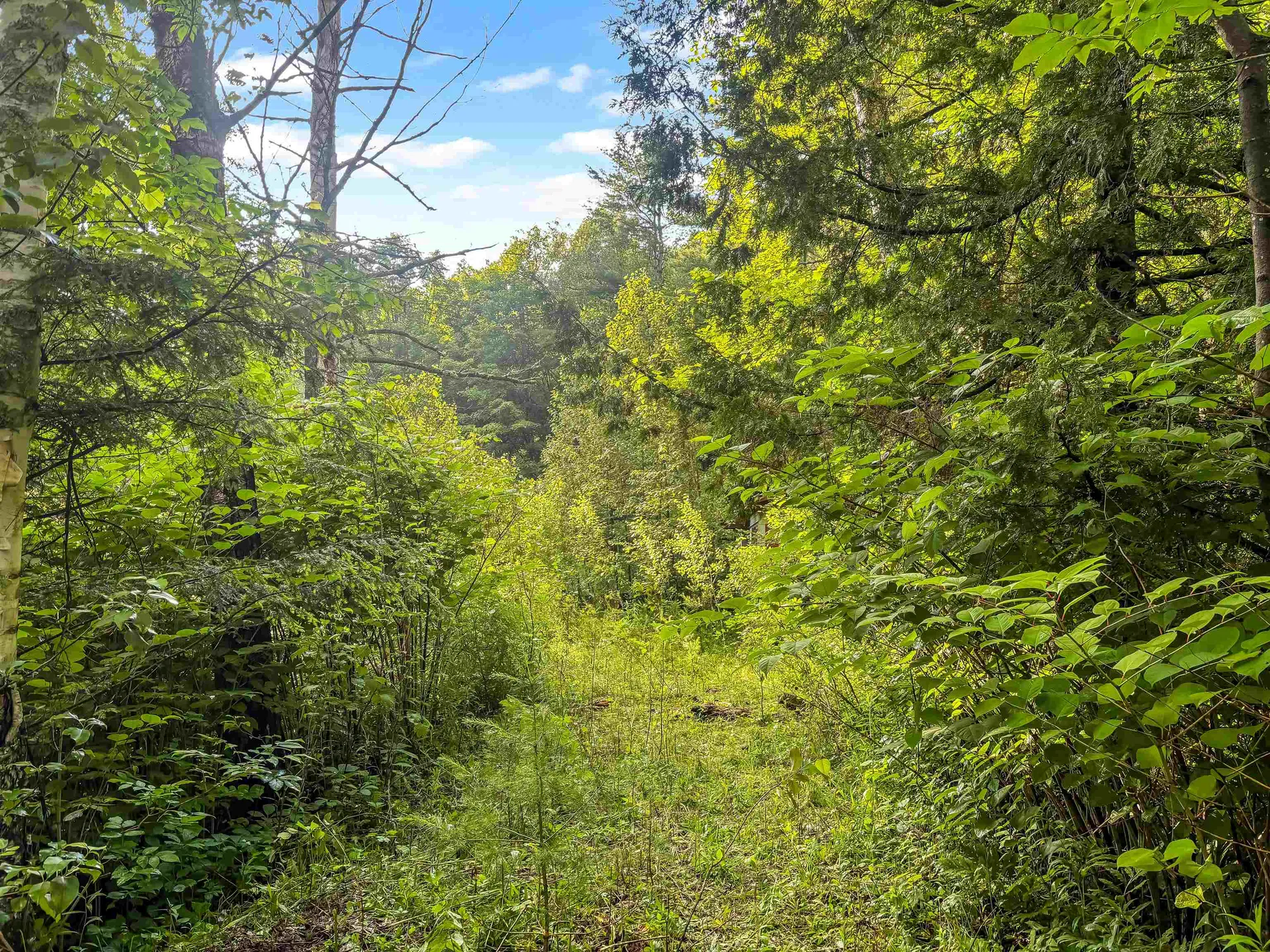 91 Dam Road Chittenden VT 05701