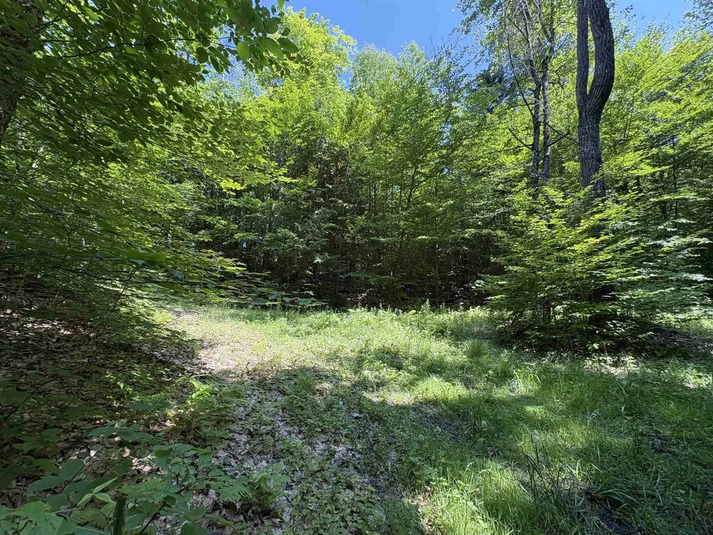 0 Hog Hollow Road Moretown VT 05660