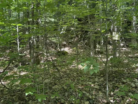 0 Hog Hollow Road Moretown VT 05660