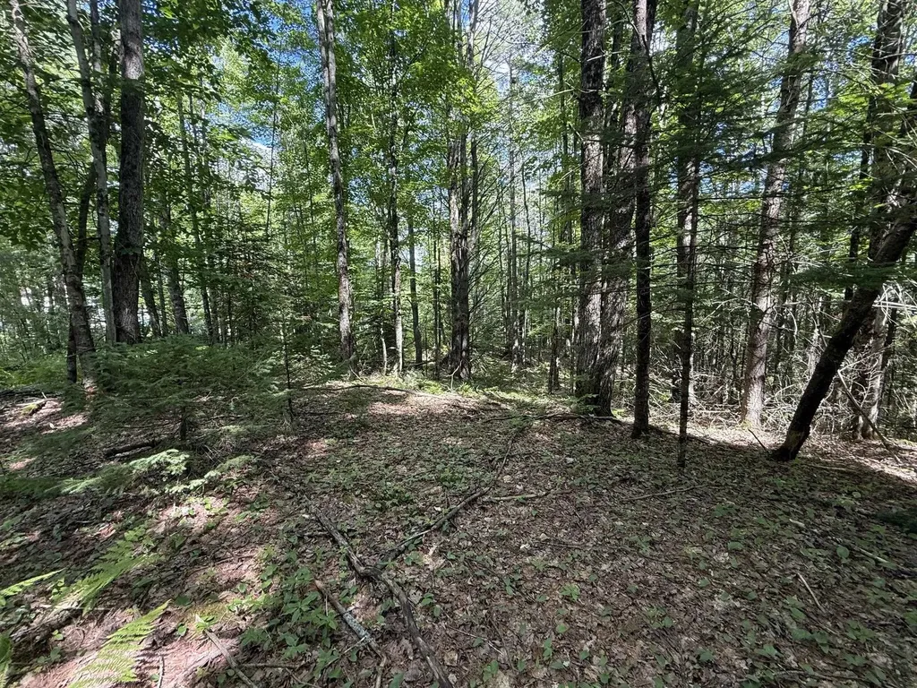On Daniels Farm Road Waterford VT 05819