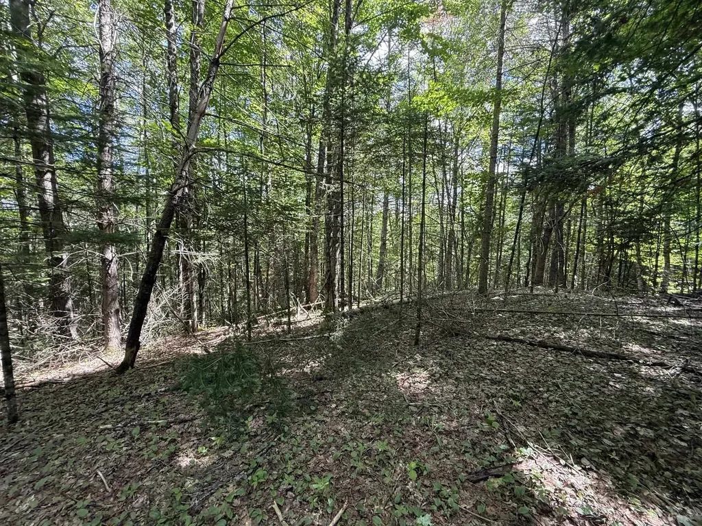On Daniels Farm Road Waterford VT 05819