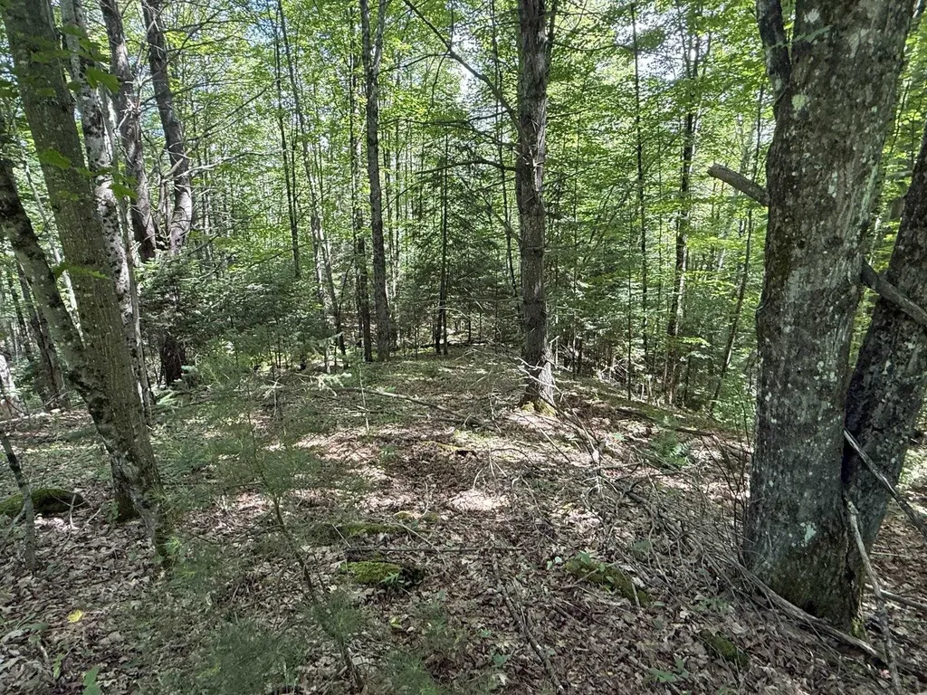 On Daniels Farm Road Waterford VT 05819