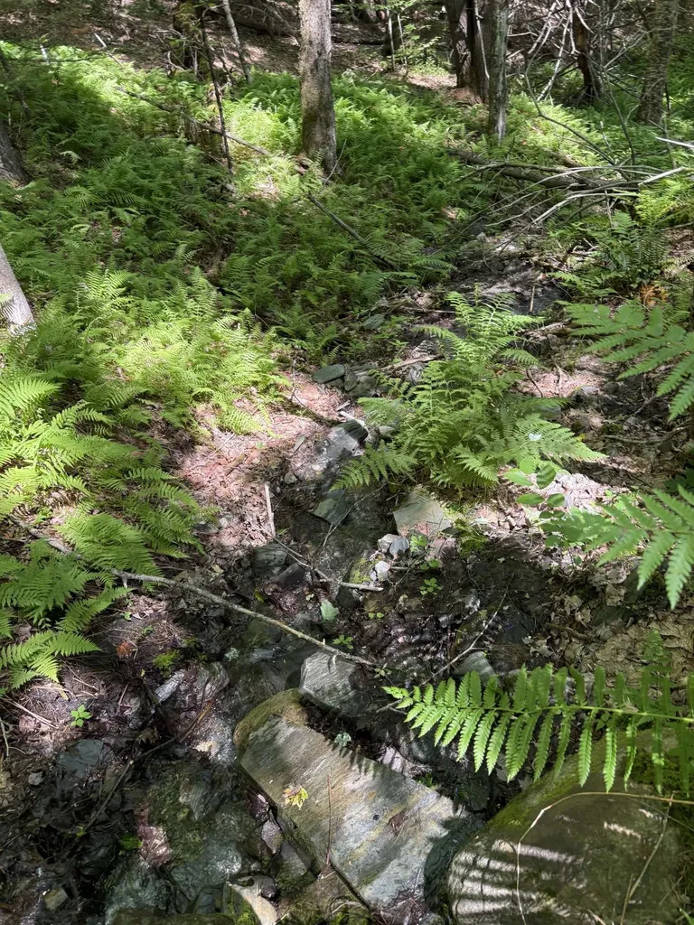 On Daniels Farm Road Waterford VT 05819