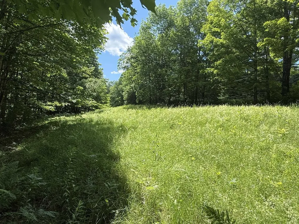On Daniels Farm Road Waterford VT 05819