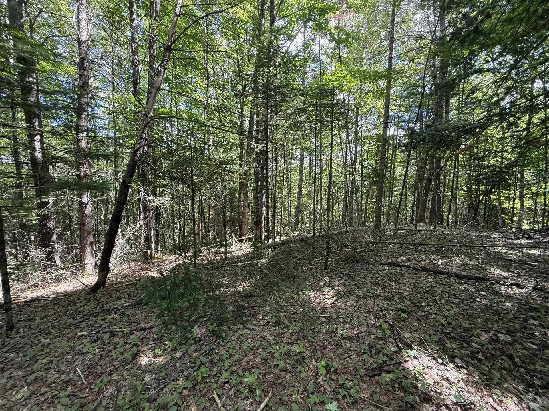 On Daniels Farm Road Waterford VT 05819
