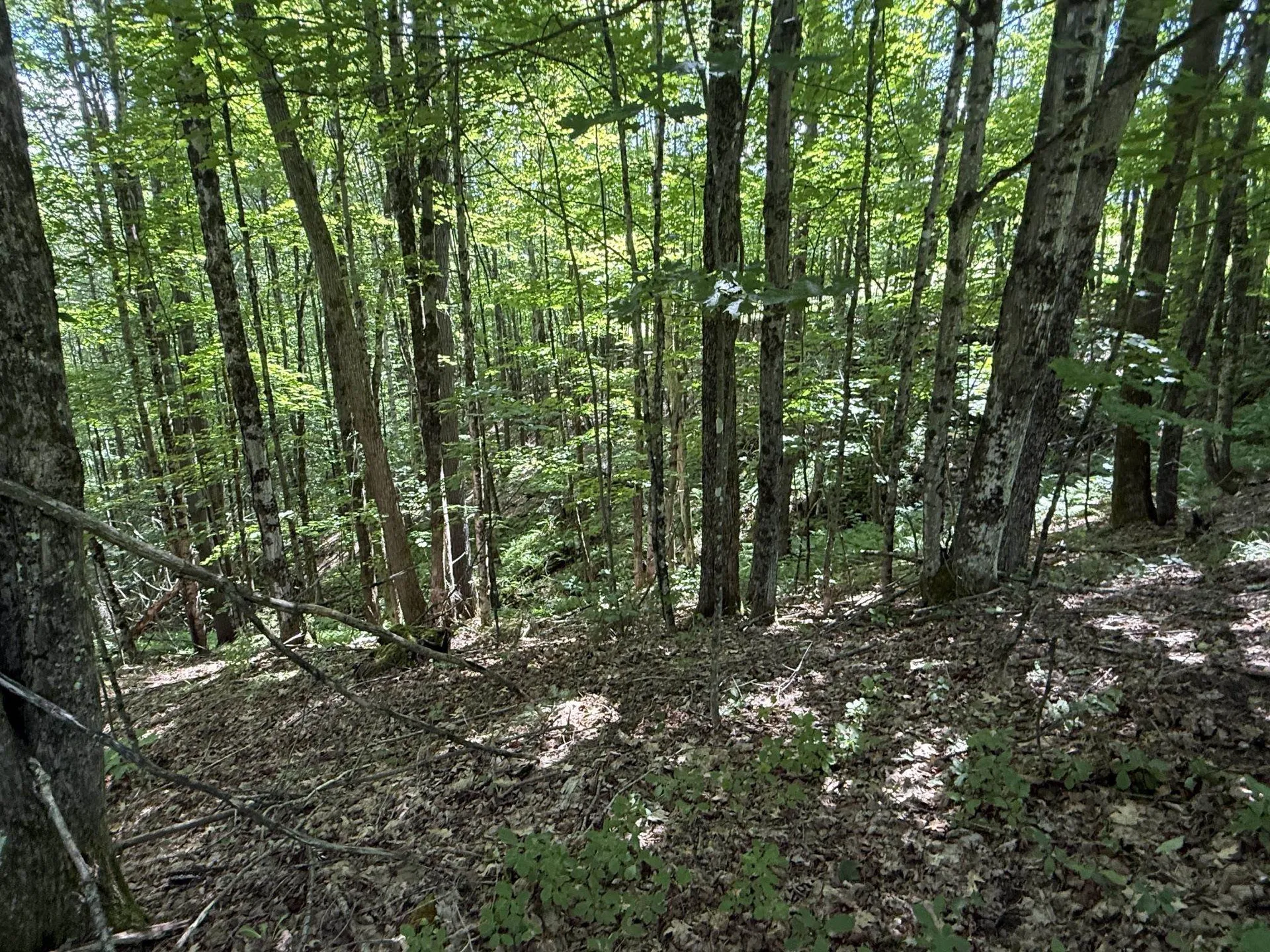 On Daniels Farm Road Waterford VT 05819