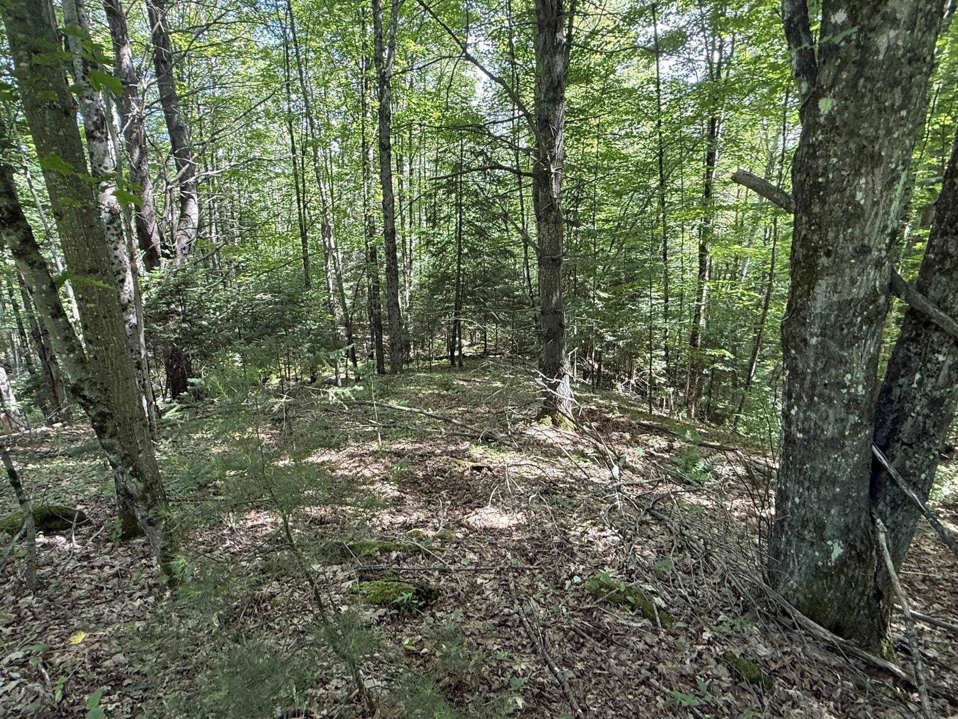 On Daniels Farm Road Waterford VT 05819