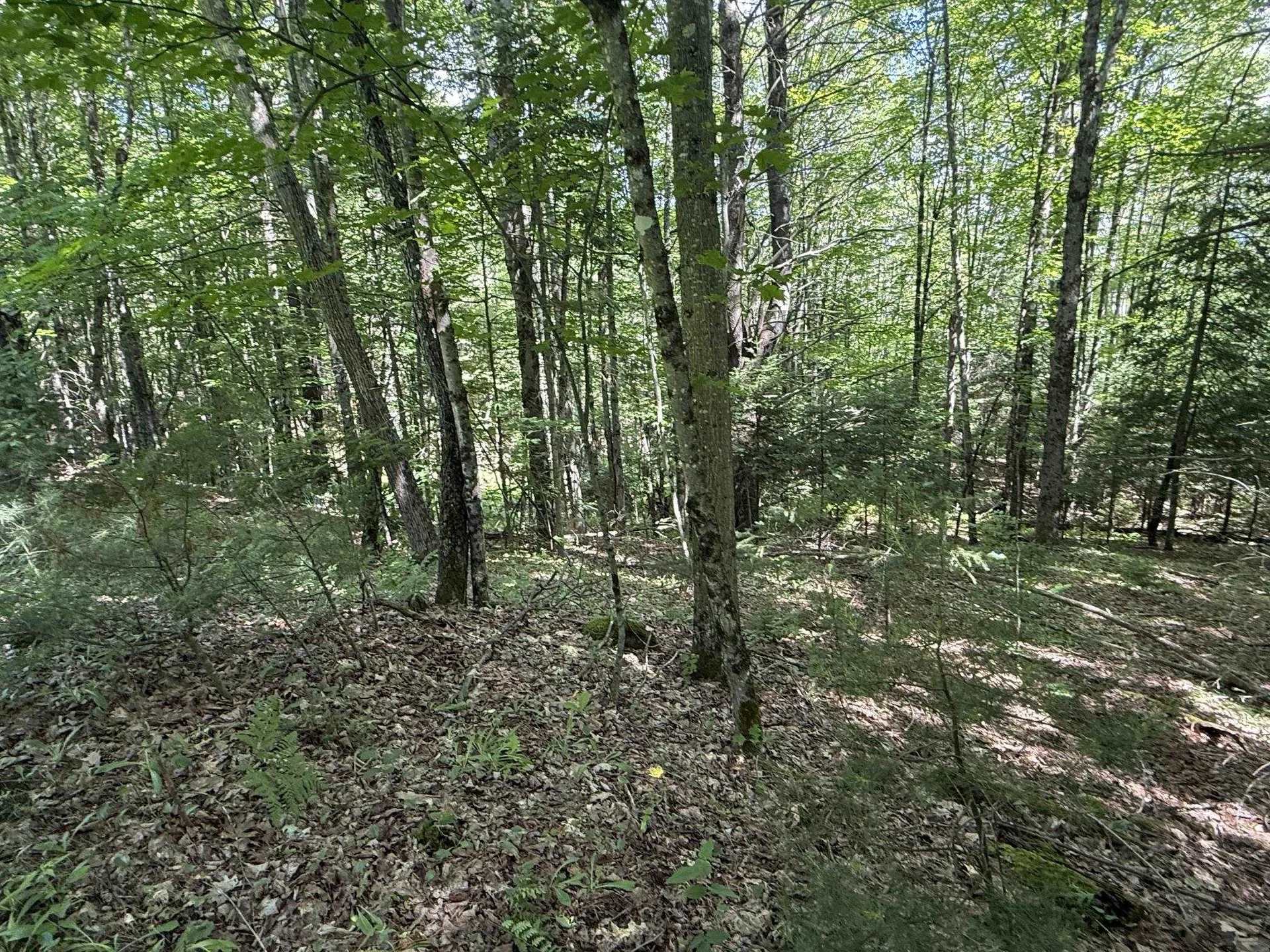 On Daniels Farm Road Waterford VT 05819