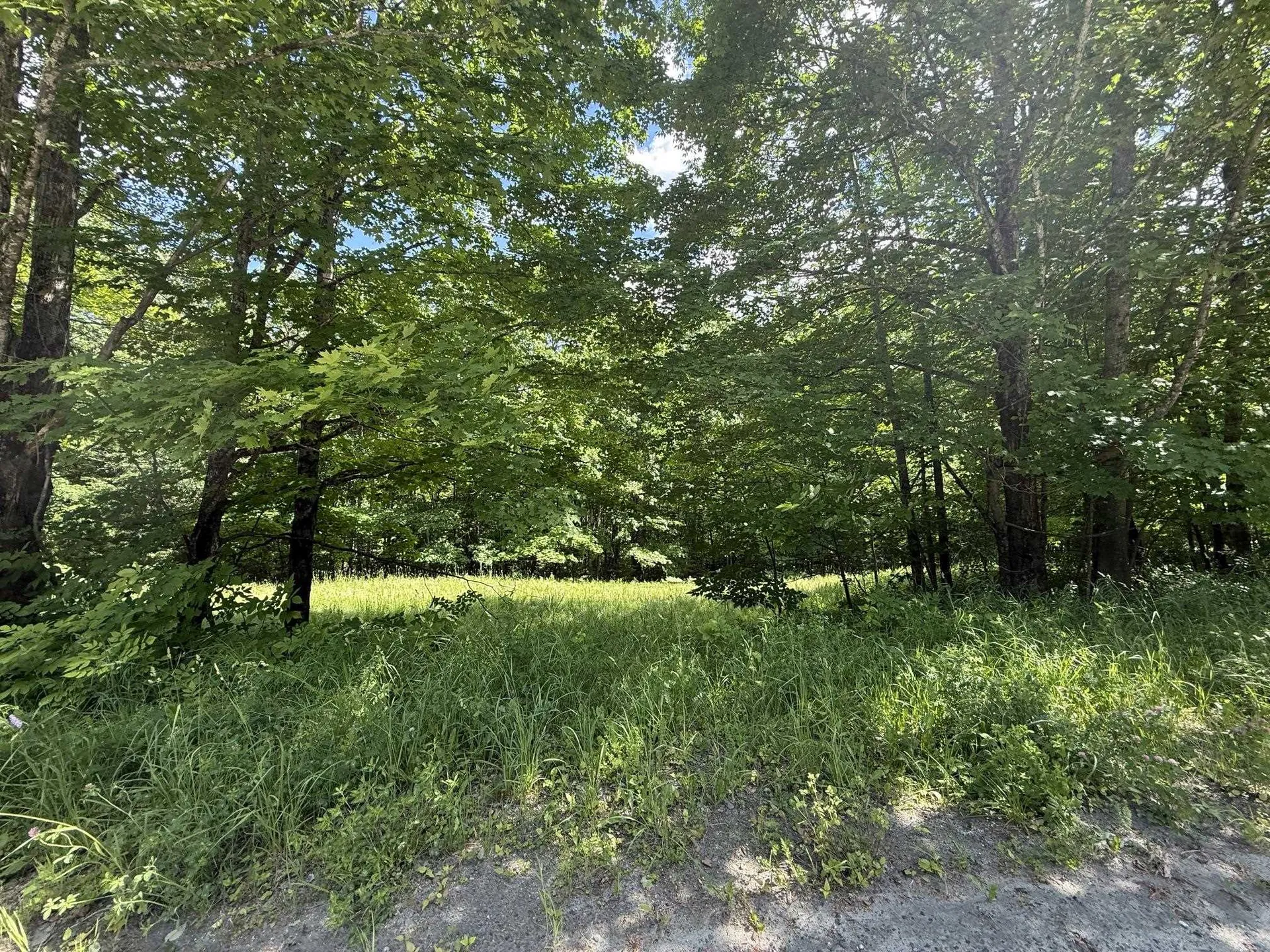 On Daniels Farm Road Waterford VT 05819