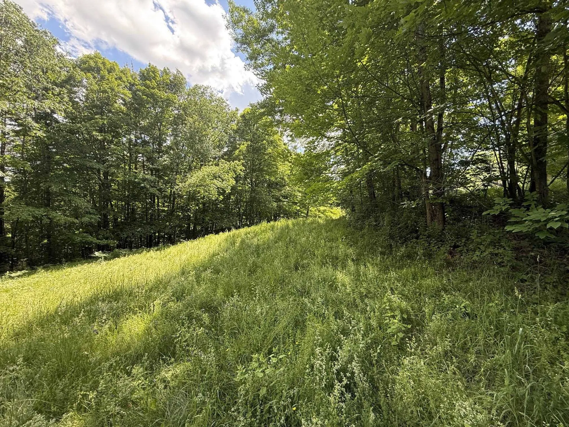 On Daniels Farm Road Waterford VT 05819