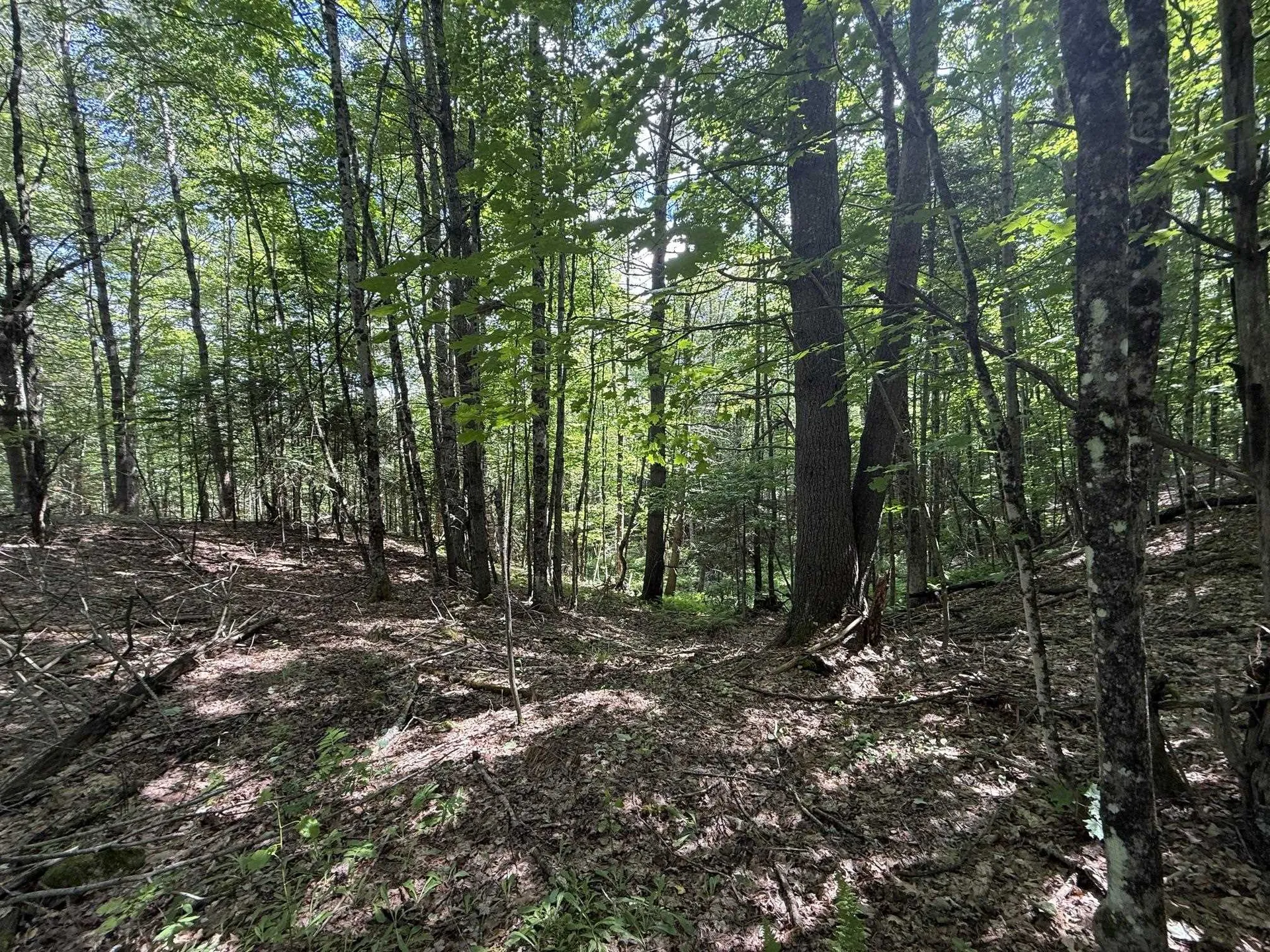 On Daniels Farm Road Waterford VT 05819