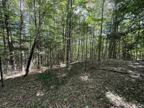 On Daniels Farm Road Waterford VT 05819