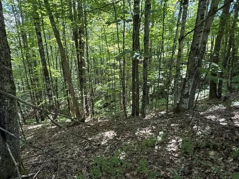On Daniels Farm Road Waterford VT 05819