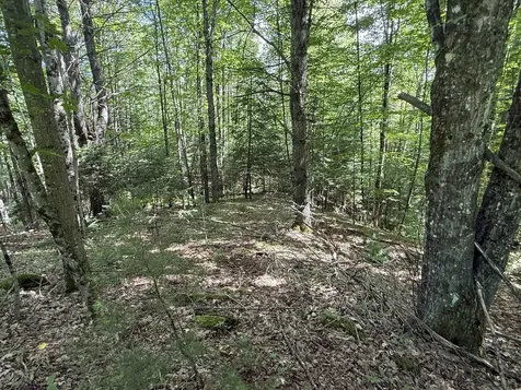 On Daniels Farm Road Waterford VT 05819