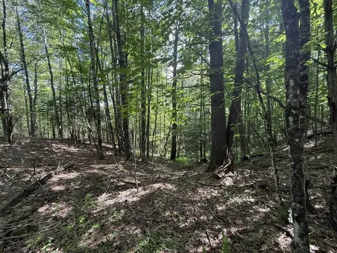 On Daniels Farm Road Waterford VT 05819