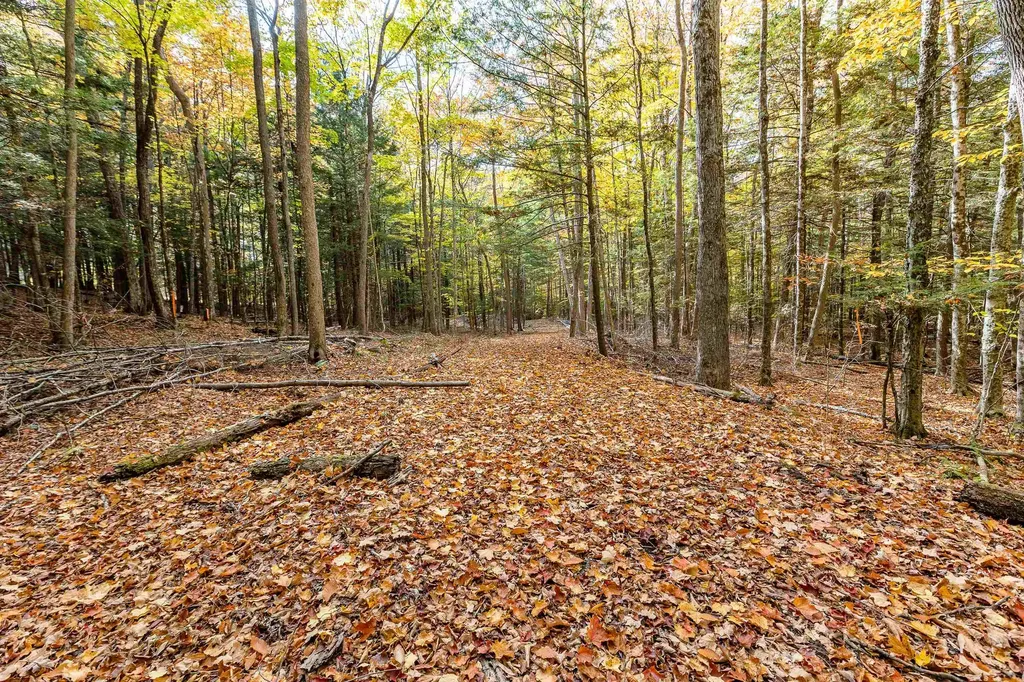 62 Stevens Road Hanover NH 03755