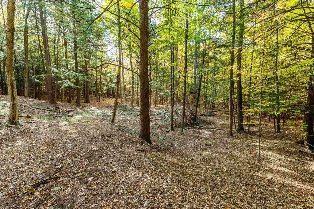 62 Stevens Road Hanover NH 03755