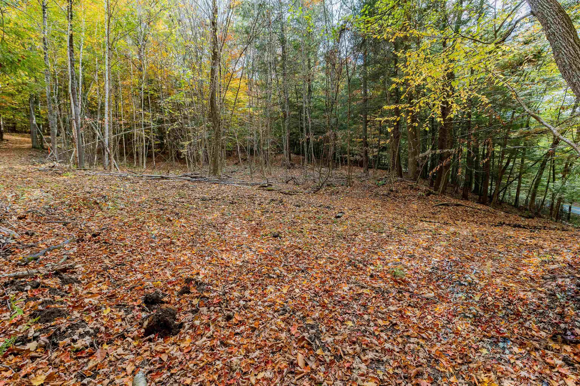 62 Stevens Road Hanover NH 03755