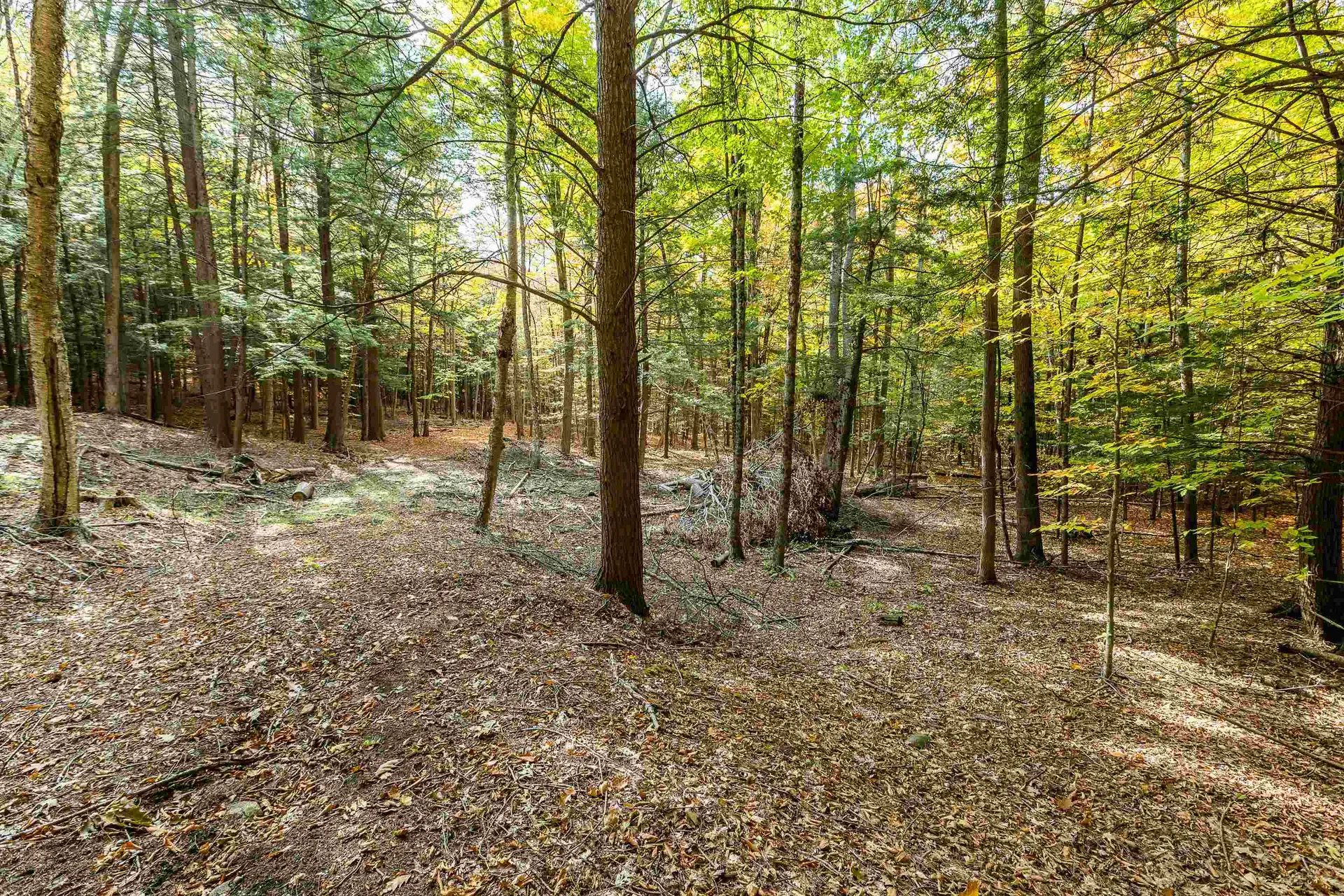 62 Stevens Road Hanover NH 03755