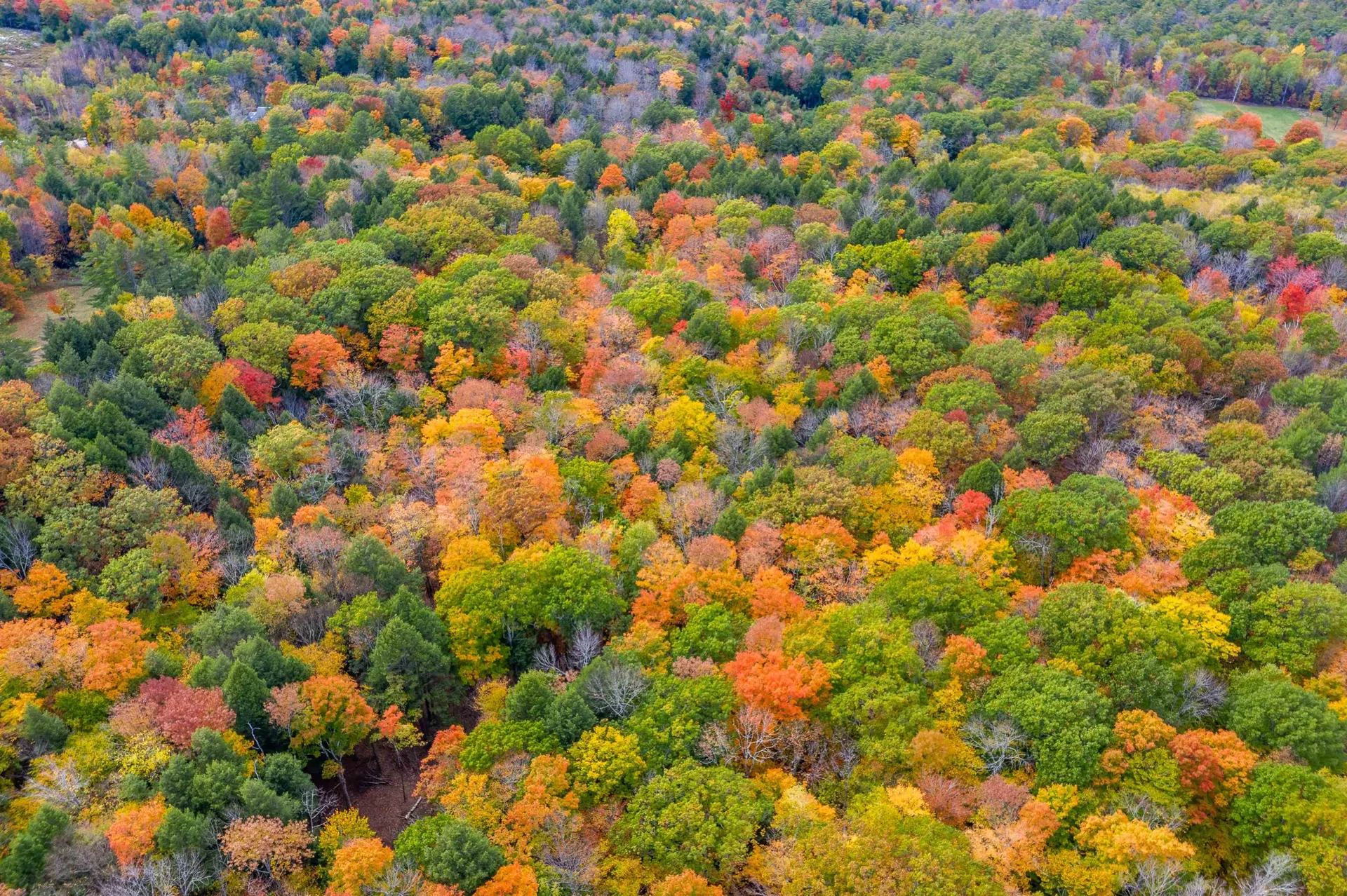 62 Stevens Road Hanover NH 03755