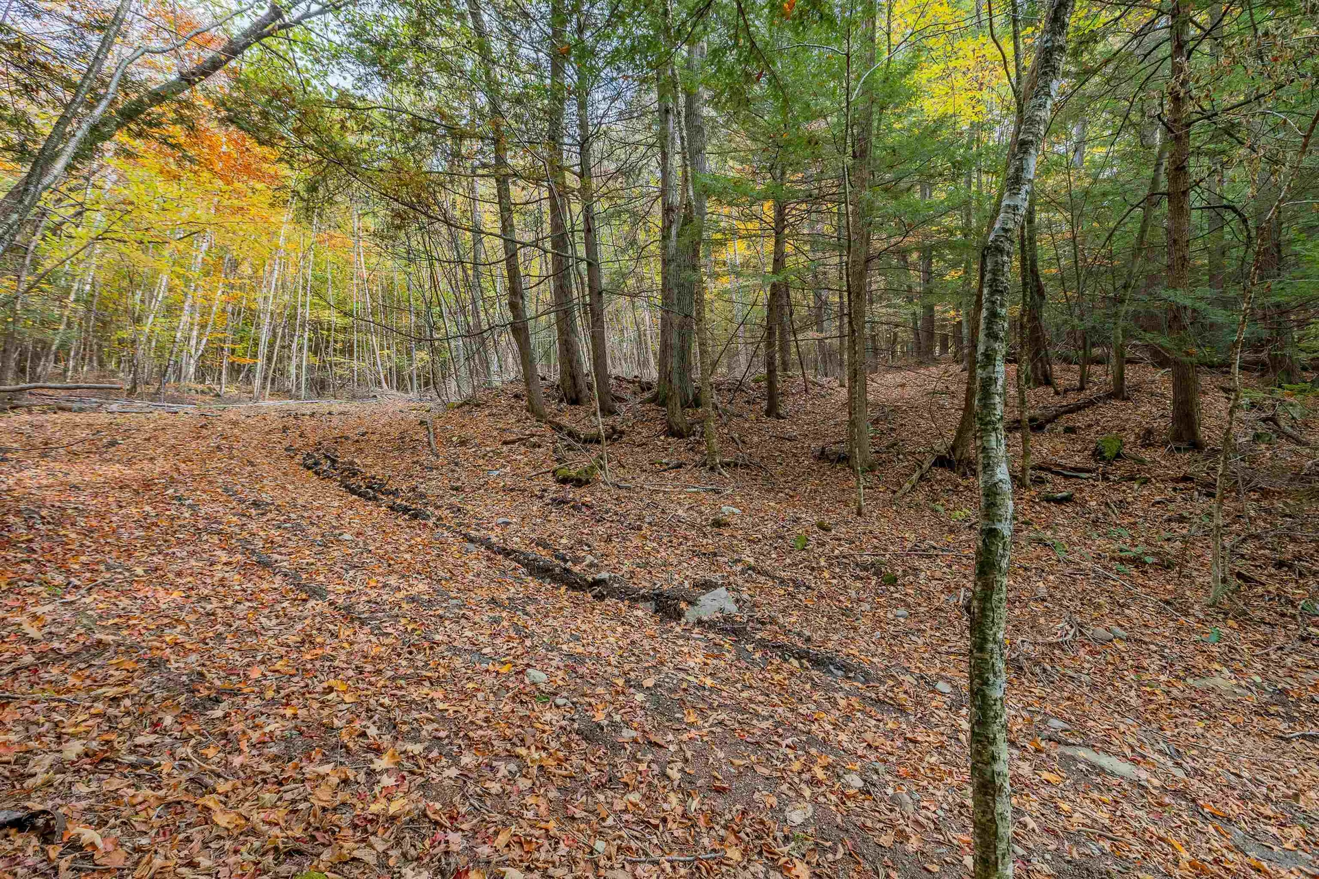 62 Stevens Road Hanover NH 03755
