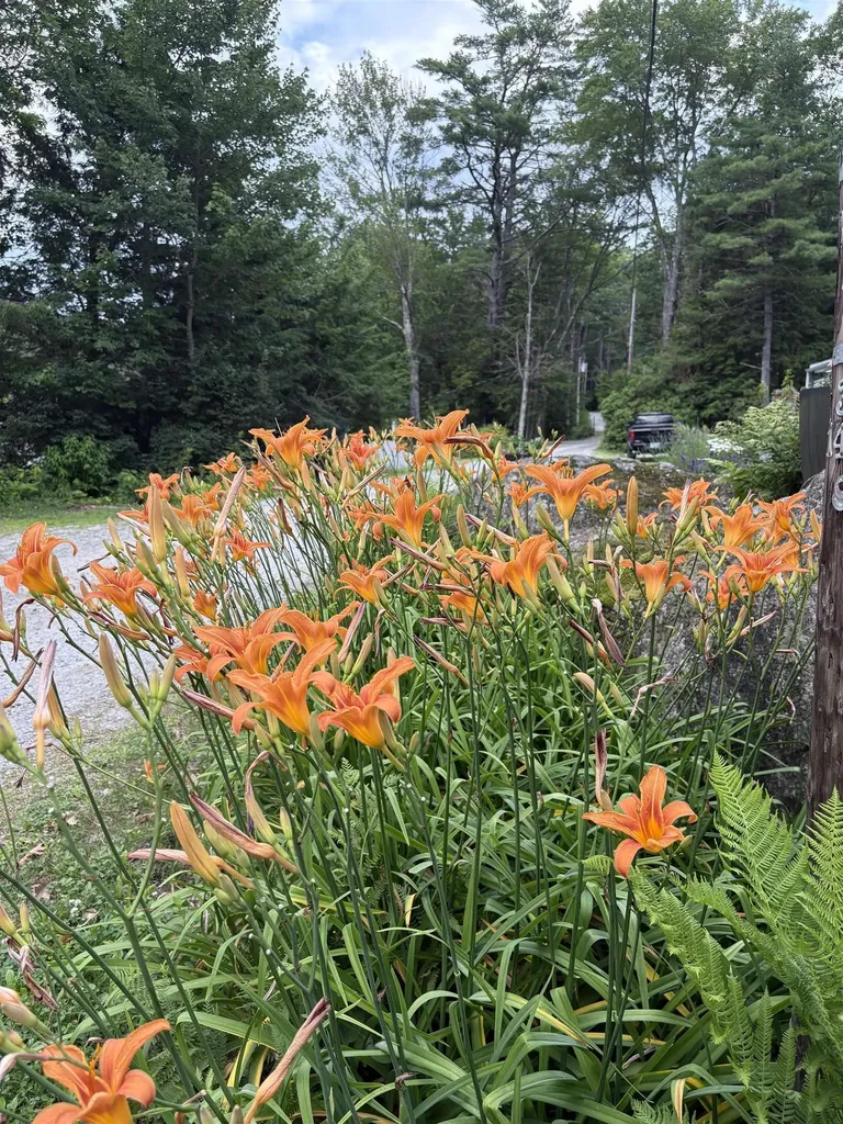 96 Mountainside Drive Antrim NH 03440