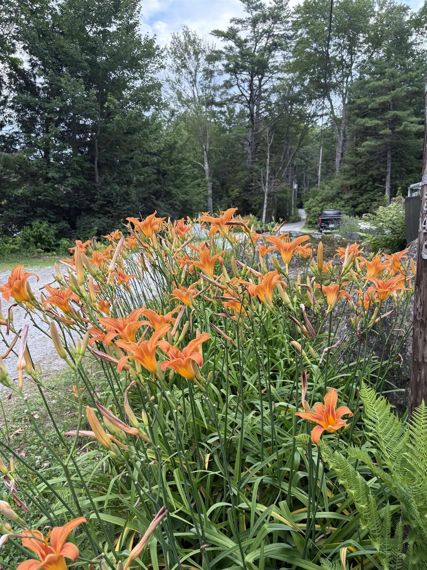 96 Mountainside Drive Antrim NH 03440