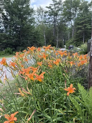 96 Mountainside Drive Antrim NH 03440