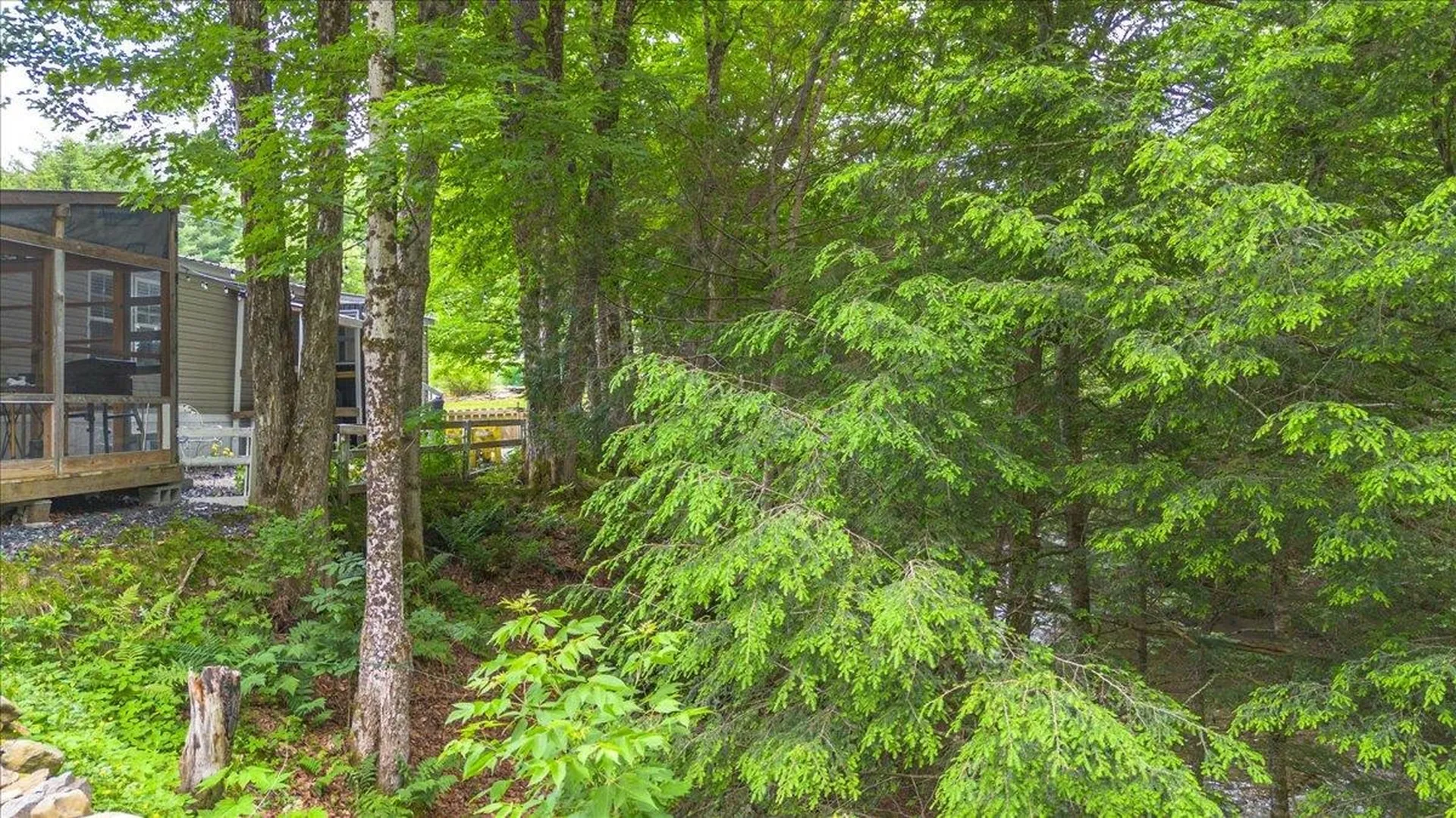 8642 Main Road Huntington VT 05462