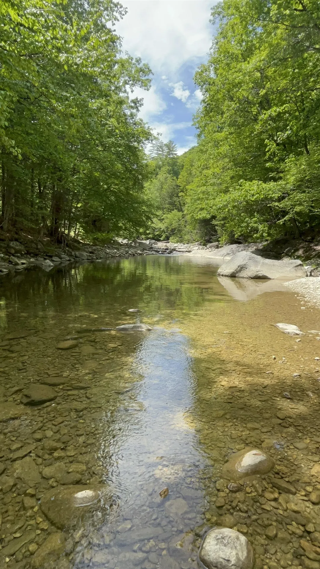776 Old Route 8 Jamaica VT 05343