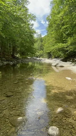 776 Old Route 8 Jamaica VT 05343