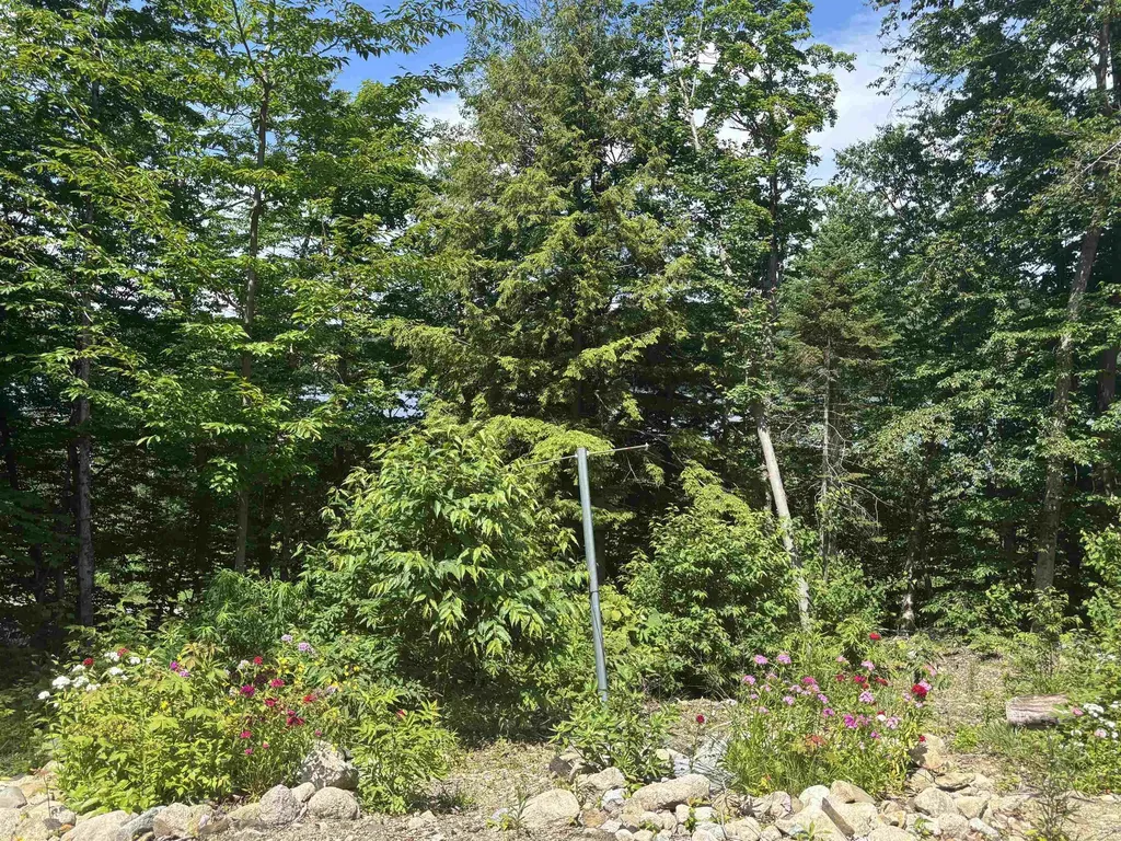 00 Vt Route 114 Warren Gore VT 05846