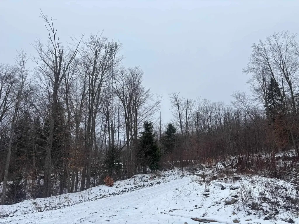 00 Vt Route 114 Warren Gore VT 05846