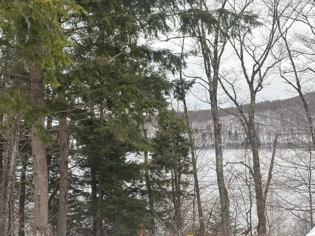 00 Vt Route 114 Warren Gore VT 05846