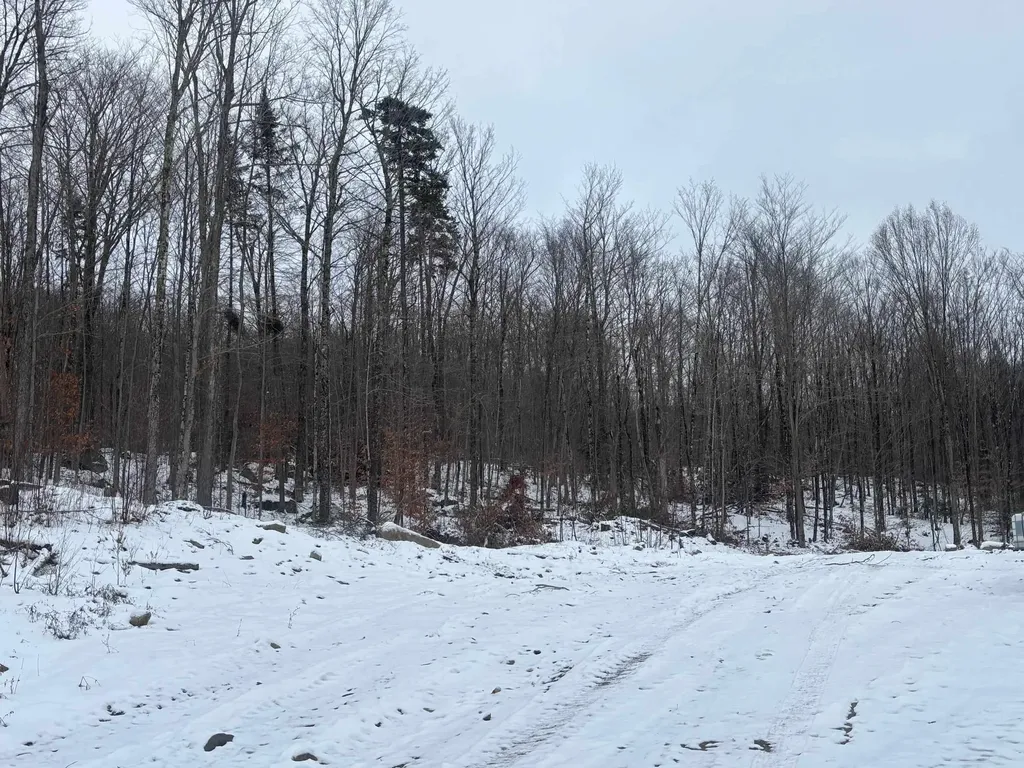 00 Vt Route 114 Warren Gore VT 05846