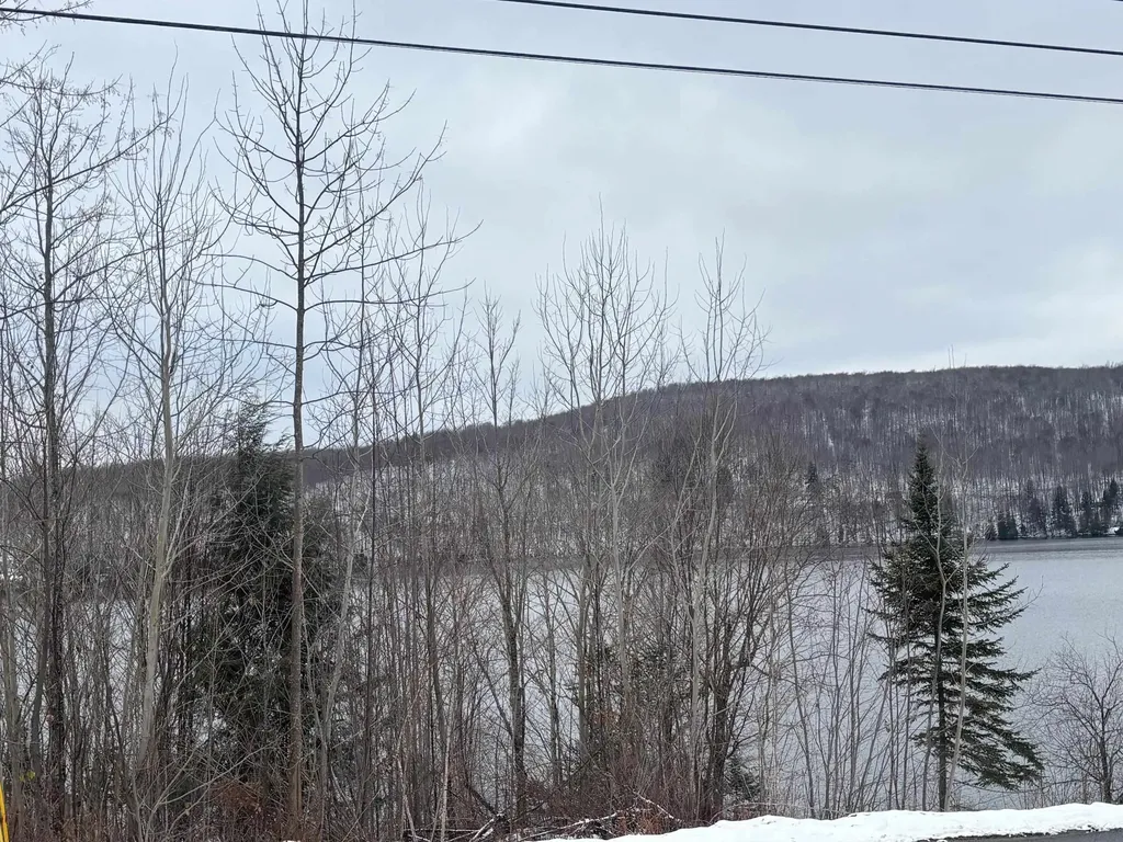 00 Vt Route 114 Warren Gore VT 05846
