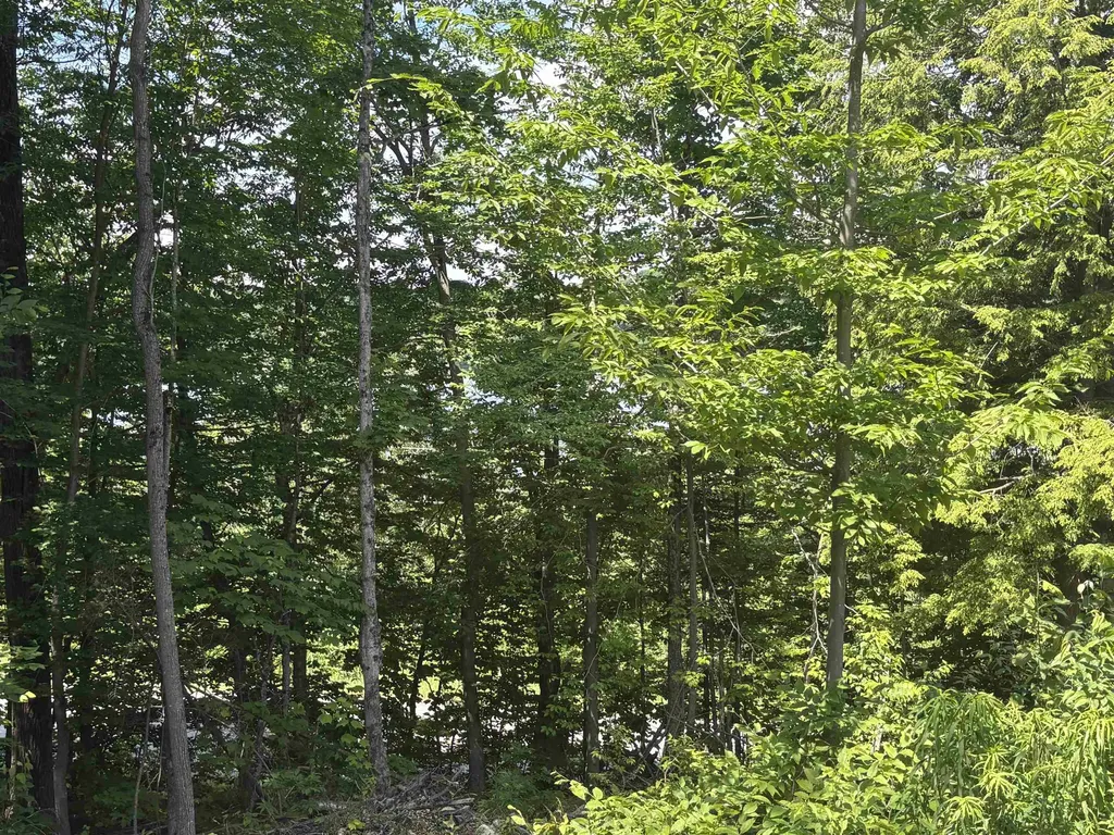 00 Vt Route 114 Warren Gore VT 05846