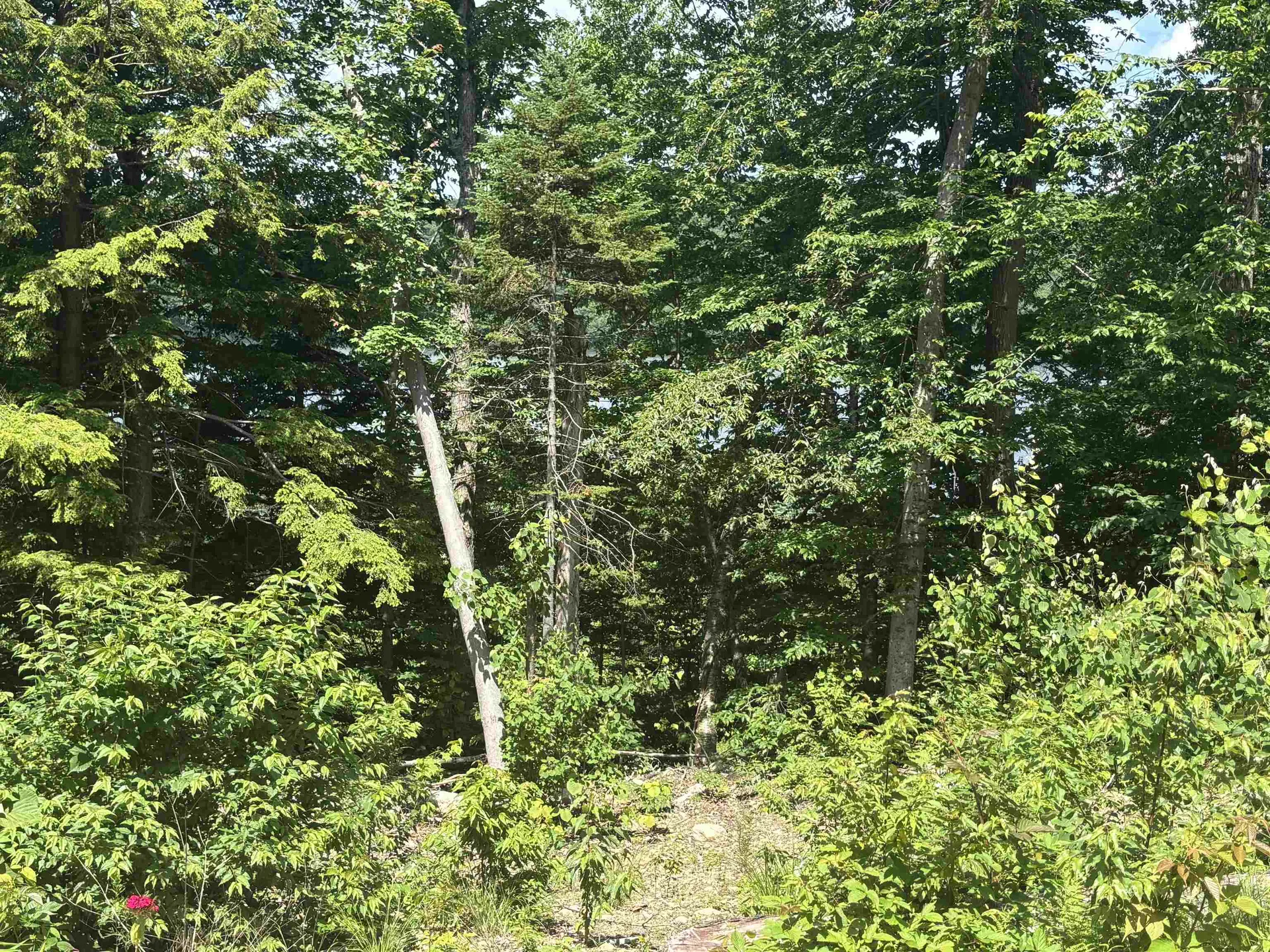 00 Vt Route 114 Warren Gore VT 05846