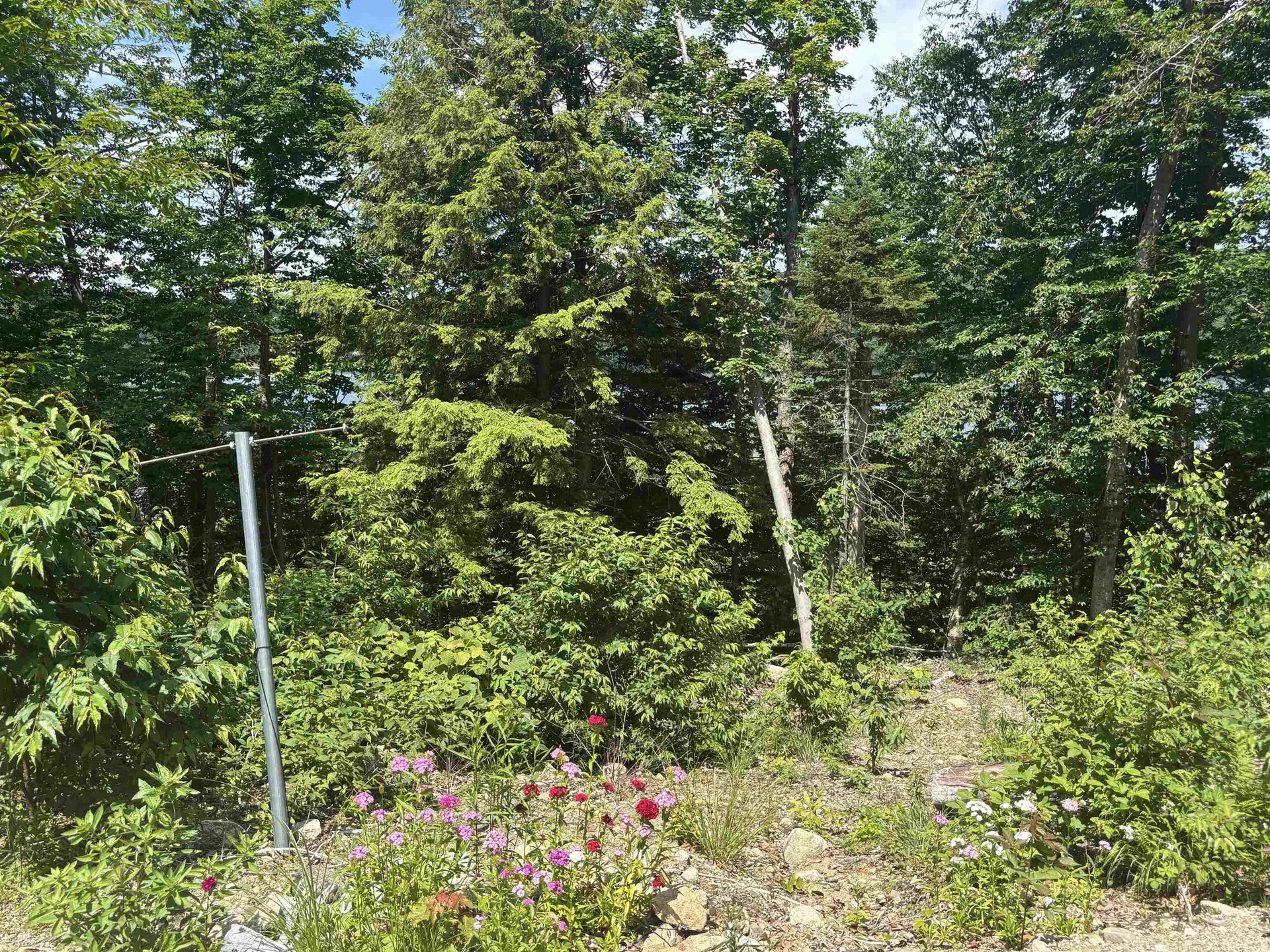 00 Vt Route 114 Warren Gore VT 05846