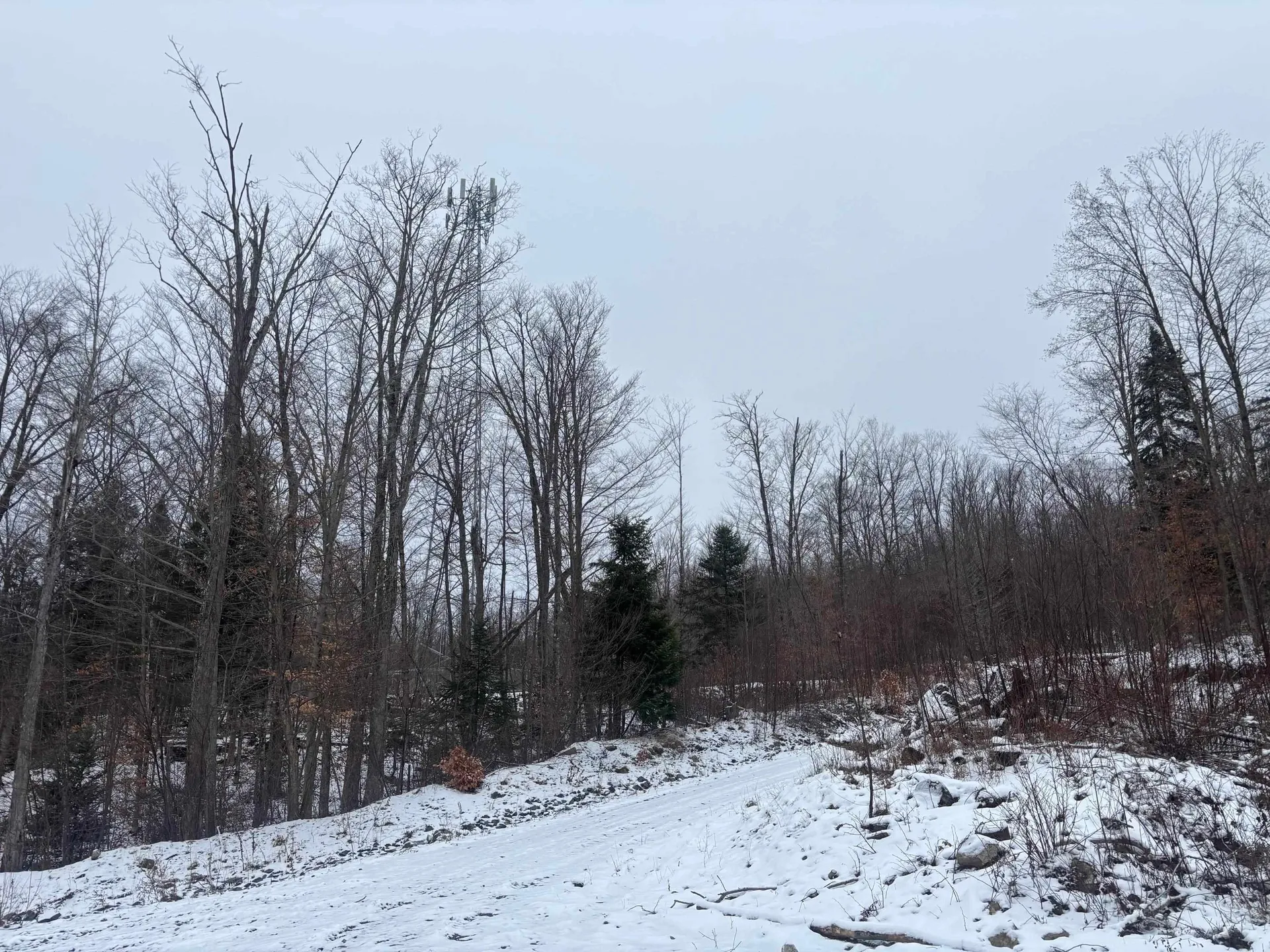 00 Vt Route 114 Warren Gore VT 05846
