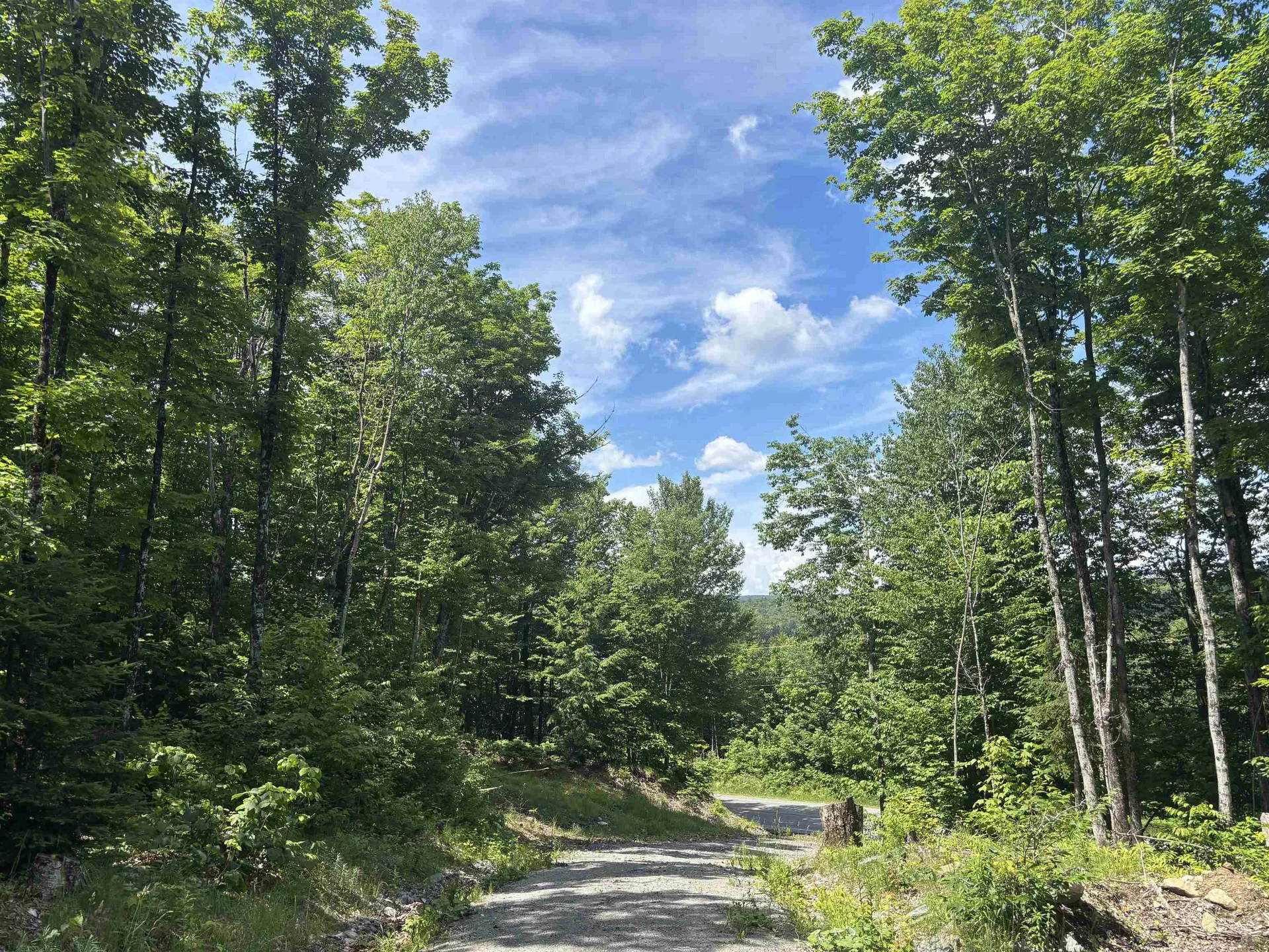 00 Vt Route 114 Warren Gore VT 05846