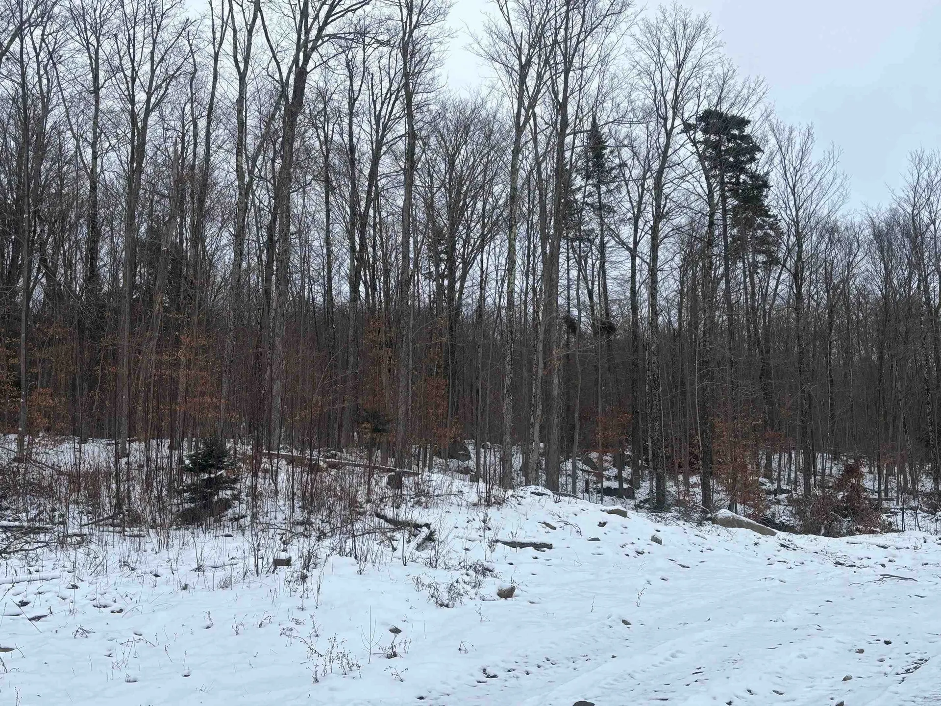00 Vt Route 114 Warren Gore VT 05846