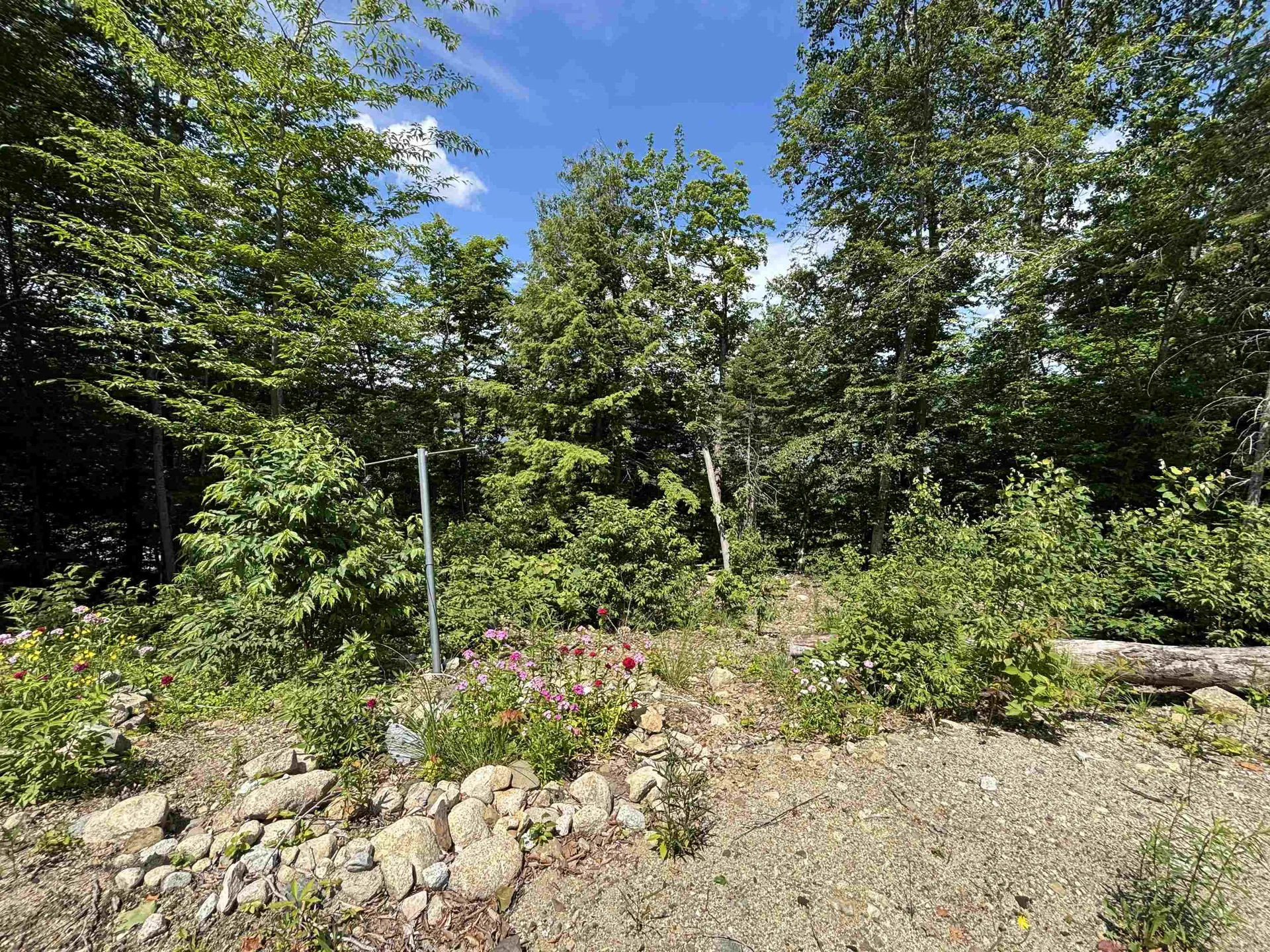 00 Vt Route 114 Warren Gore VT 05846