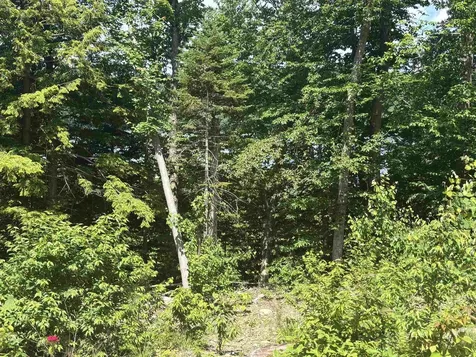 00 Vt Route 114 Warren Gore VT 05846