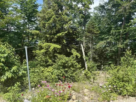 00 Vt Route 114 Warren Gore VT 05846