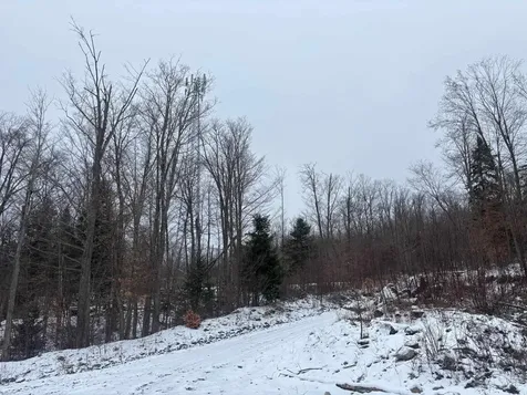 00 Vt Route 114 Warren Gore VT 05846